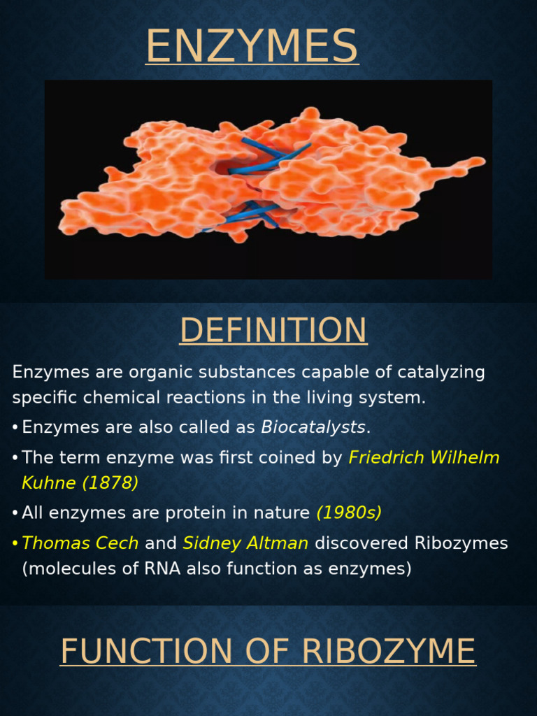Enzymes 03 | PDF | Enzyme | Enzyme Inhibitor