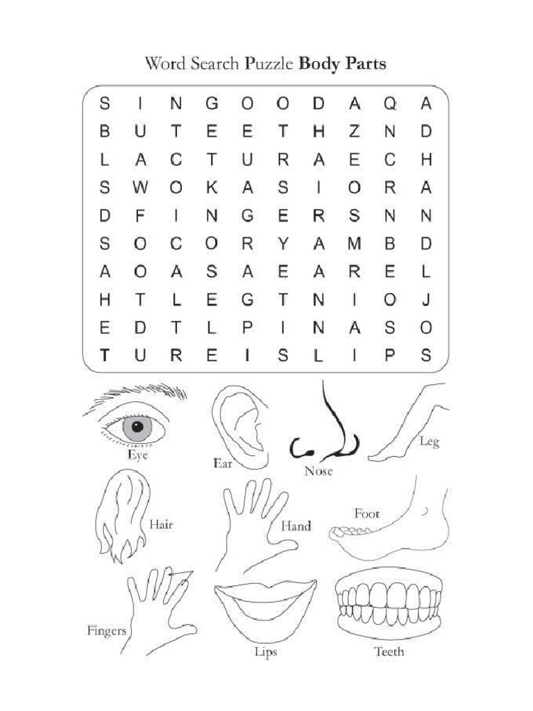 Body Parts Word Search 2 | PDF