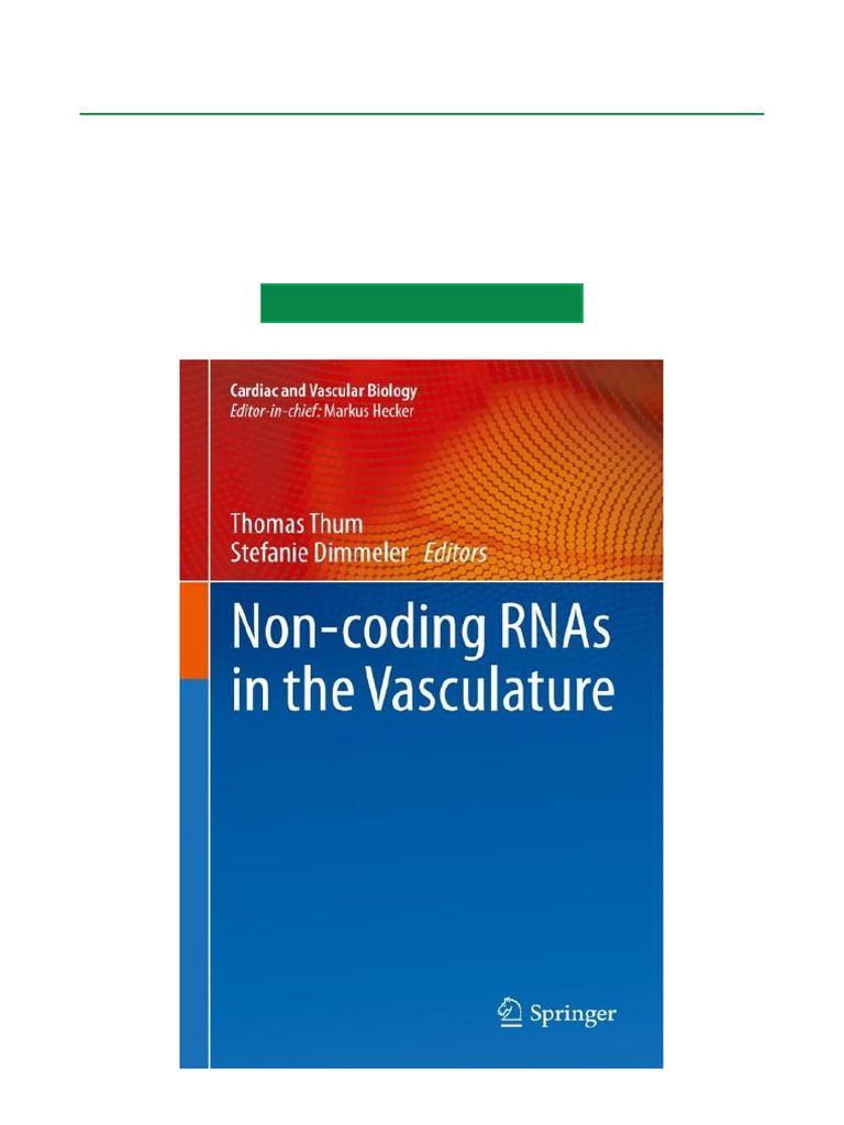 Non Coding RNAs in The Vasculature Fast Download | PDF | Micro Rna ...
