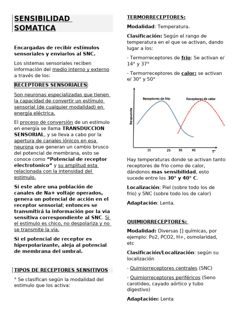 Sensibilidad Somatica | PDF | Dolor | Sentidos