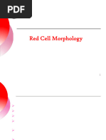 RBC Morphology and Inclusion Chart | PDF | Hematology | Pathology
