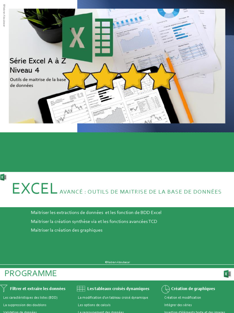 Excel Avancé : Maîtrise des BDD et TCD | PDF | Microsoft Excel | Logiciel