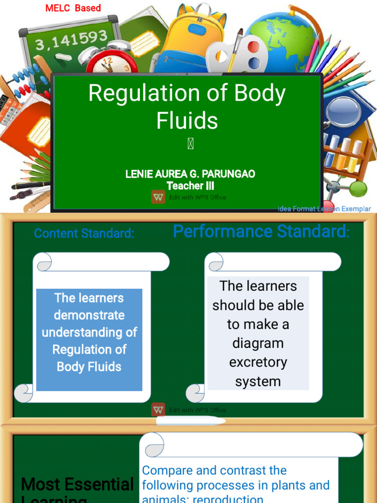 1.6regulation of Body Fluids | PDF | Kidney | Biology