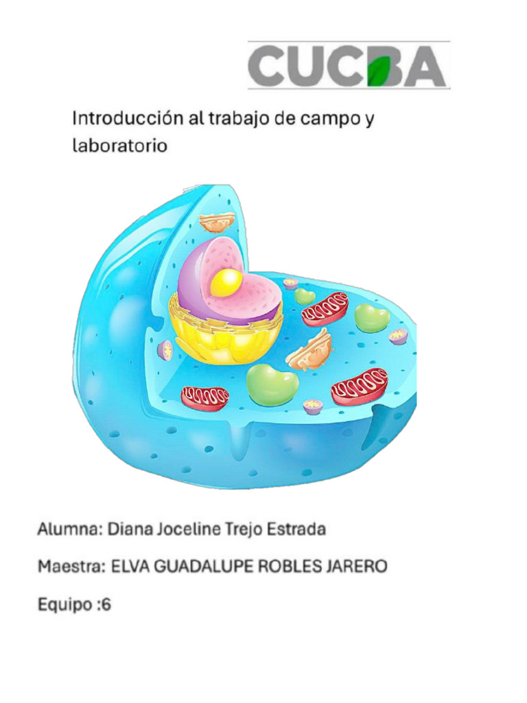 Estructura y Funciones de Células Eucariotas | PDF | Biología Celular ...