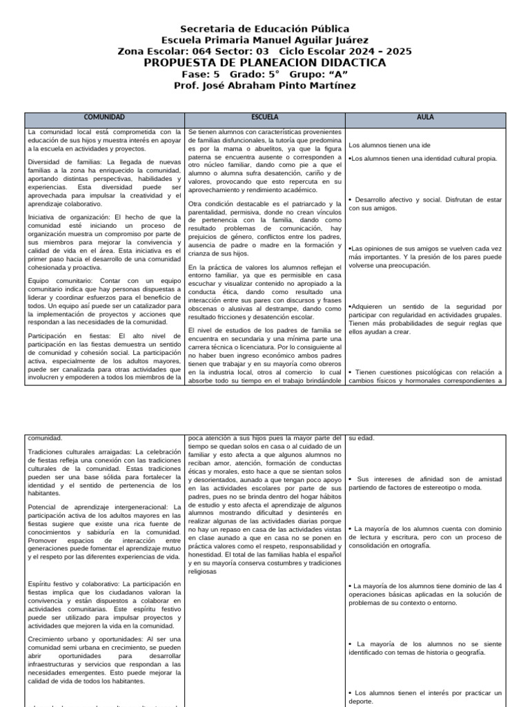 P.analitico 2024 - 2025 | PDF | Comprensión lectora | Aprendizaje