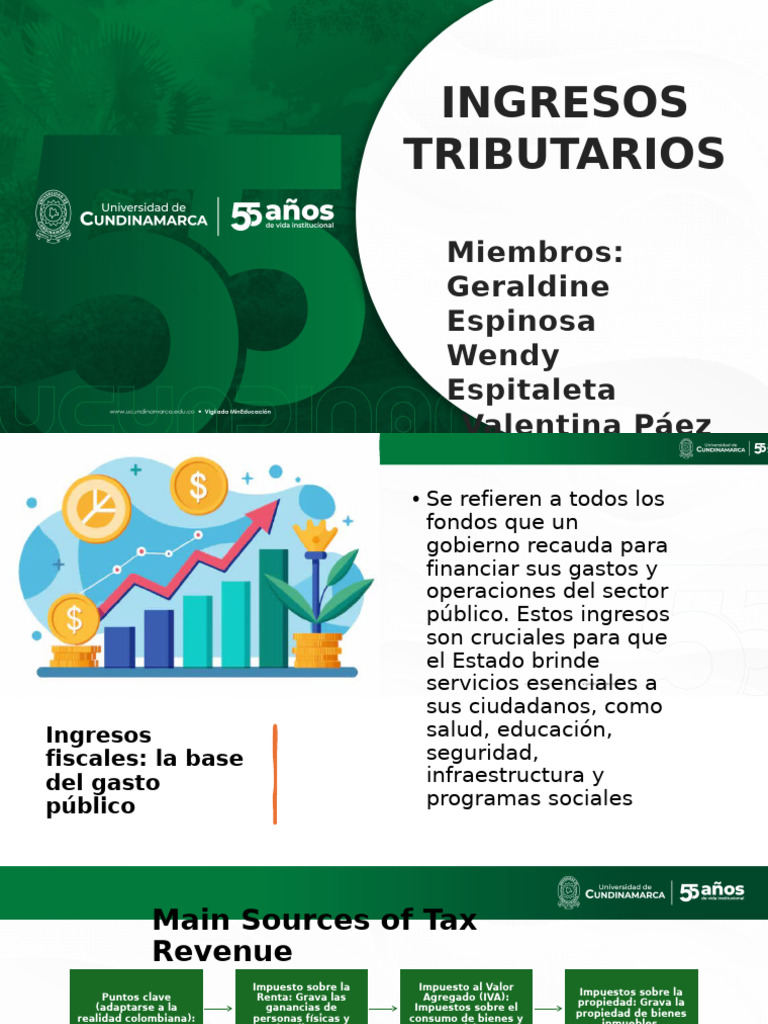 Importancia de los Ingresos Fiscales | PDF | Impuestos | La política fiscal