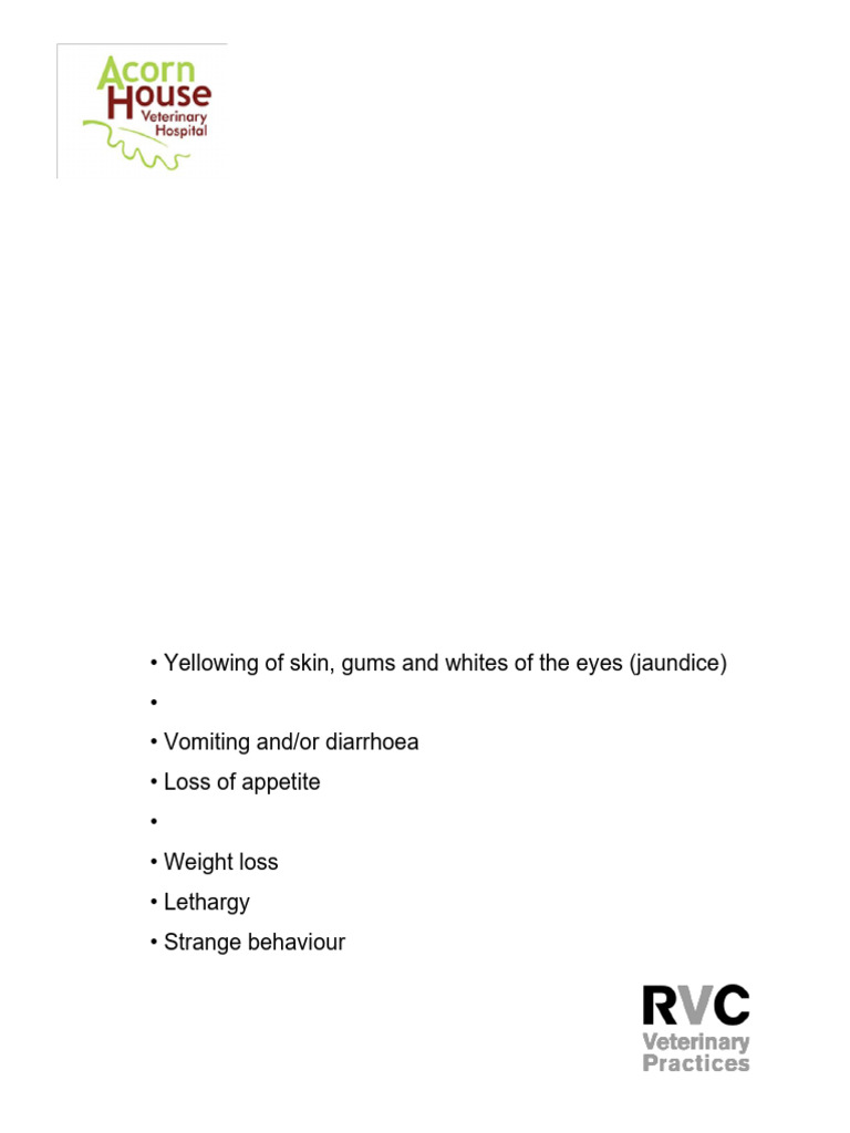 Picture of Liver Disease in Cats and Dogs | PDF | Liver | Biopsy