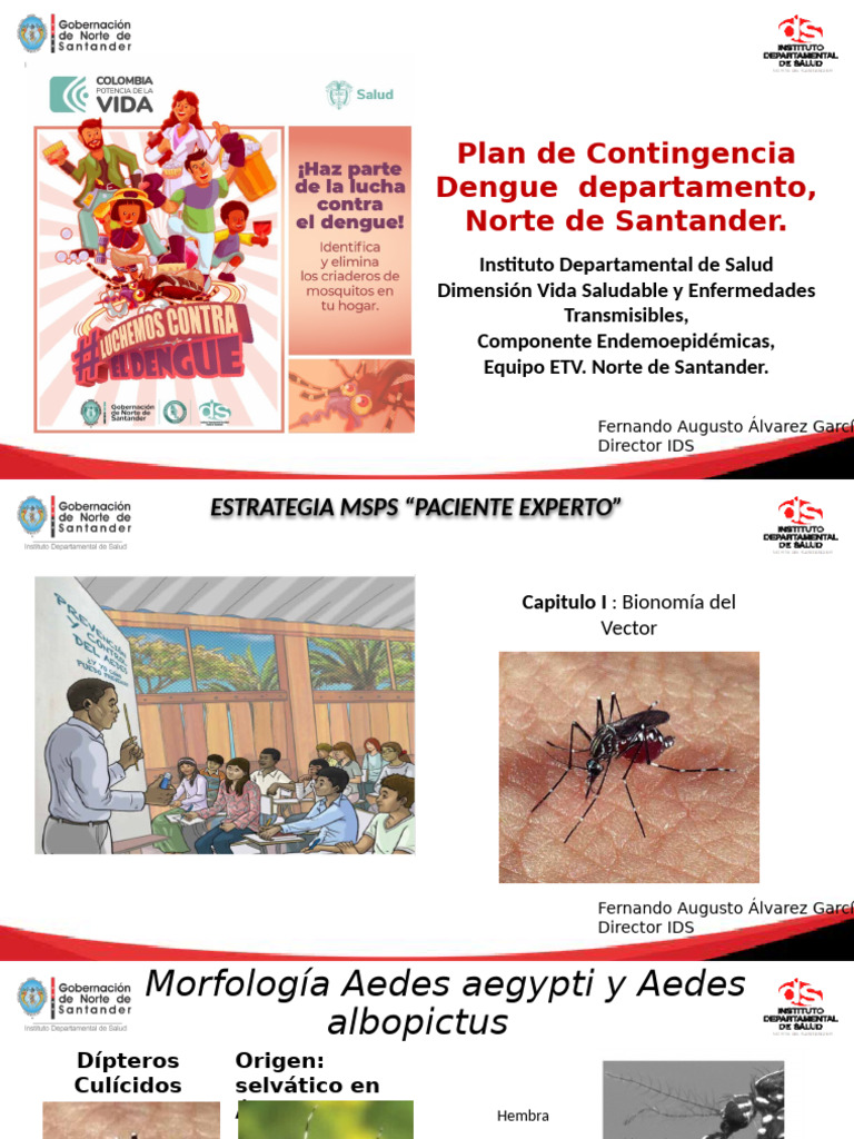 Control y Prevención del Dengue en Norte de Santander | PDF | Mosquito ...