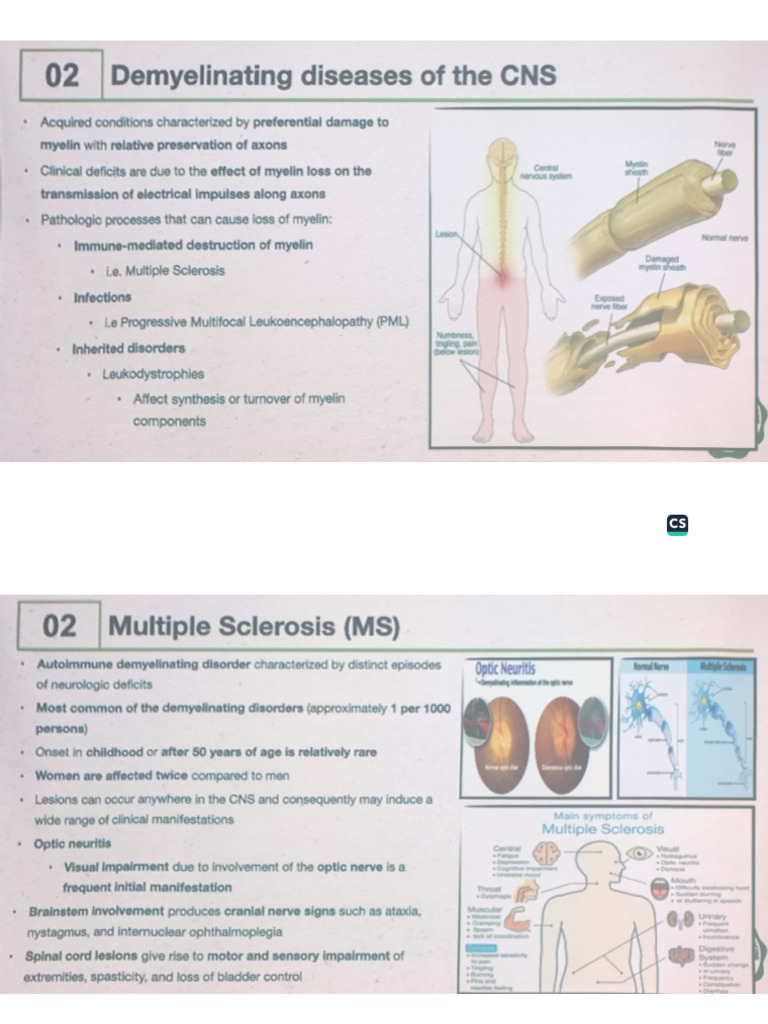 CNS Part 2 | PDF