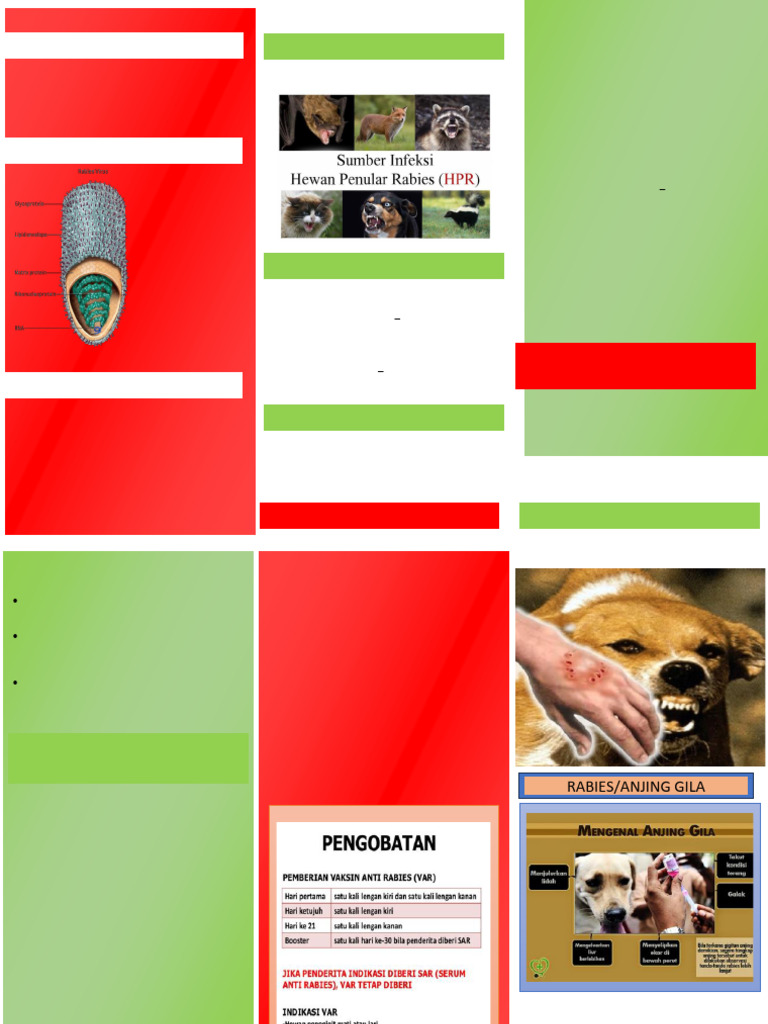 Pengertian dan Penanganan Rabies | PDF
