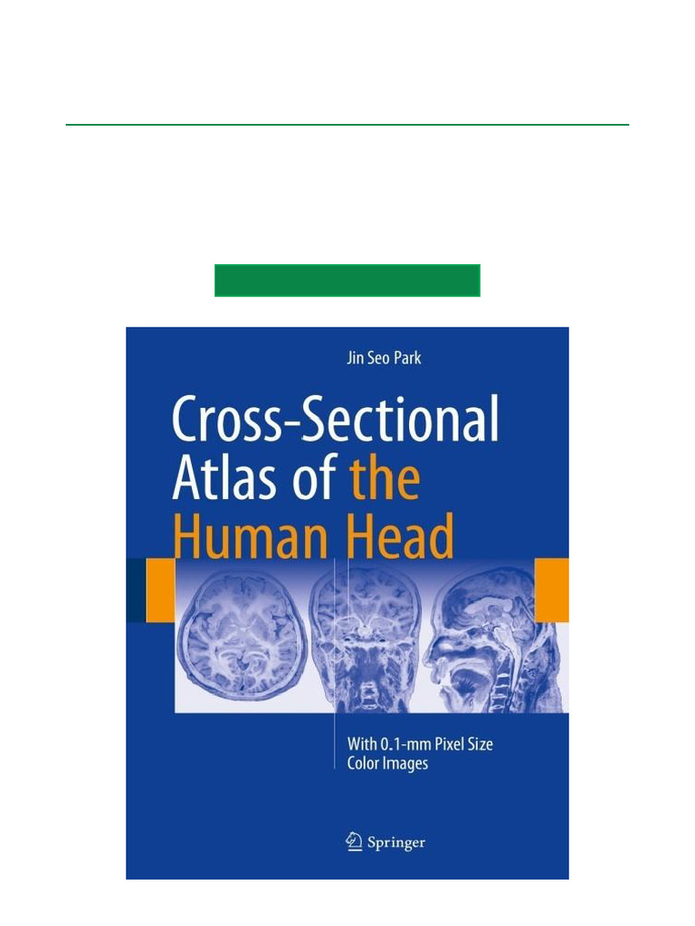 Cross Sectional Atlas of The Human Head With 0.1 MM Pixel Size Color ...