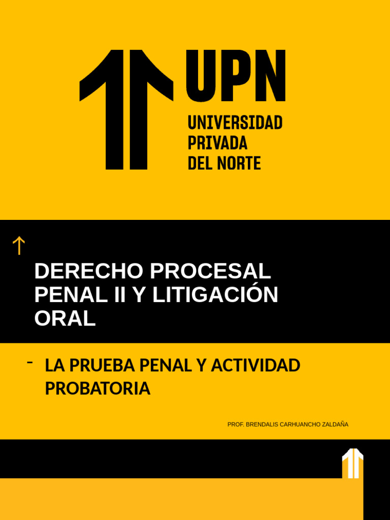 Derecho Procesal Penal II - Semana 4 - Parte I | PDF | Evidencia (ley ...