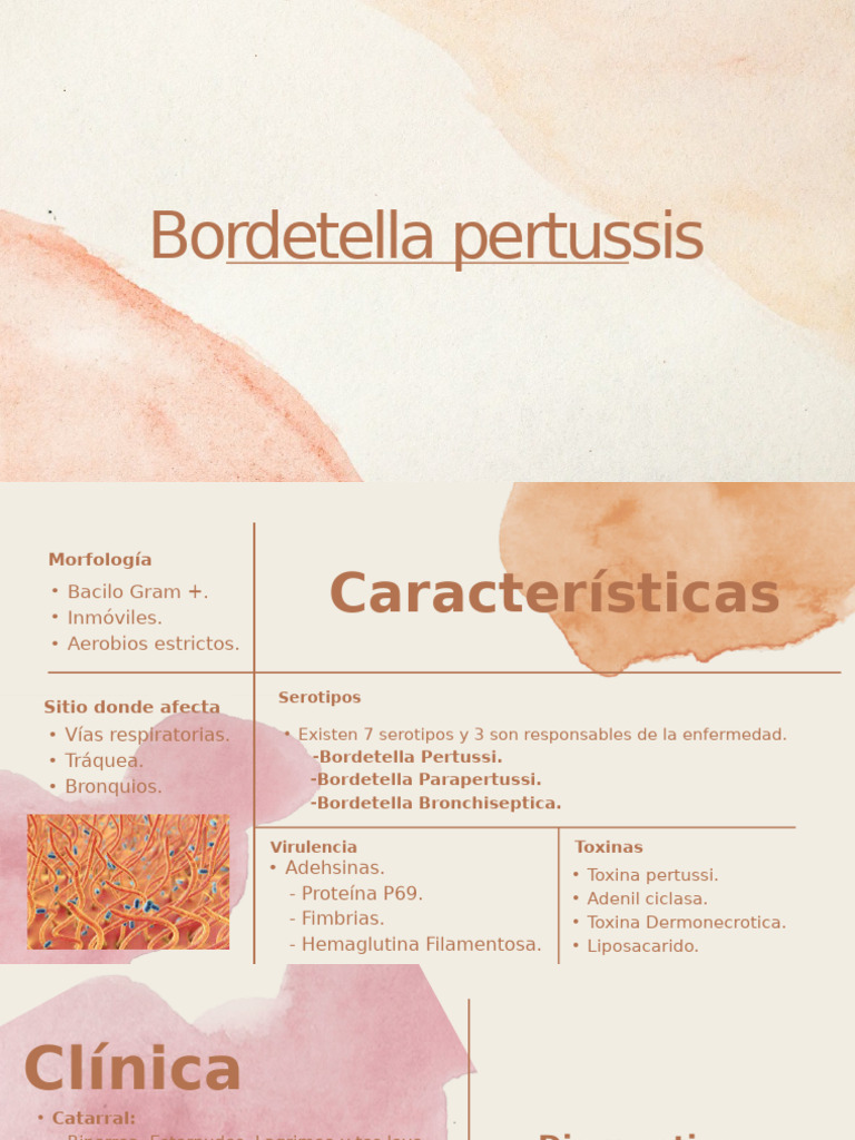 Bordetella Pertussis | PDF