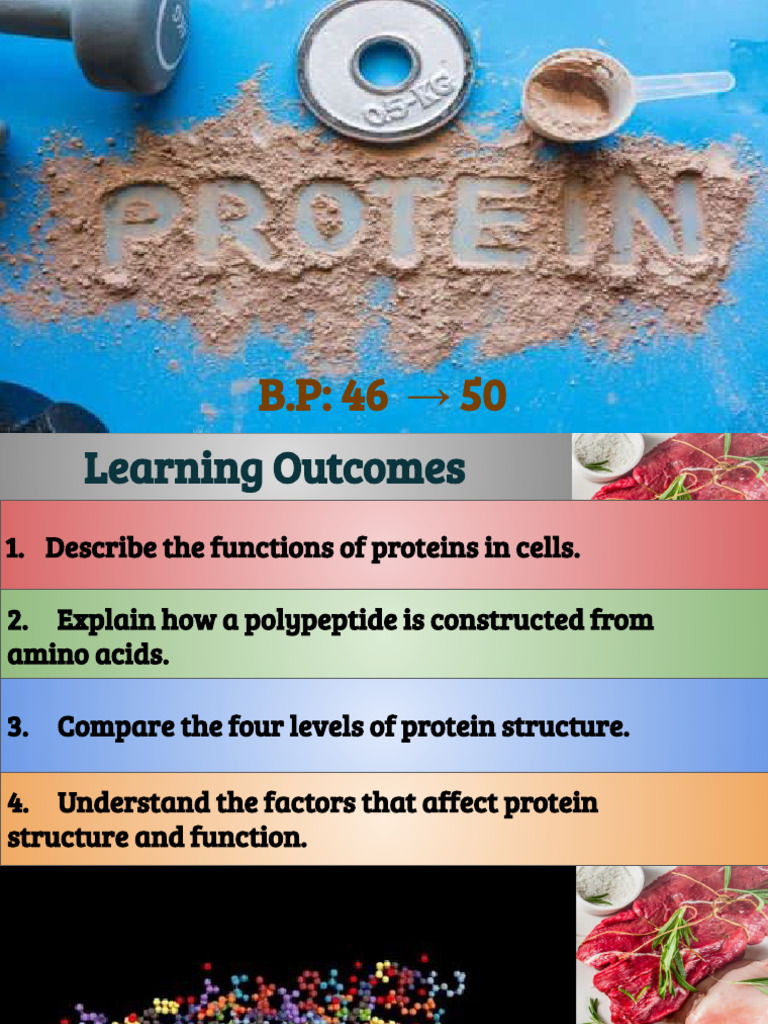 Lesson 3.4 - Proteins | PDF | Proteins | Protein Structure