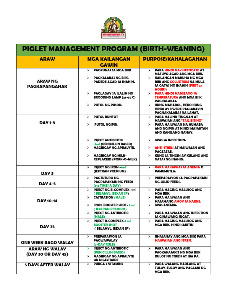 Piglet Management PDF | PDF