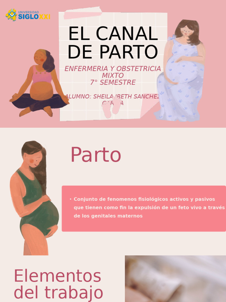 Presentación Preparación Parto Embarazo Femenino Rosa | PDF | Parto ...