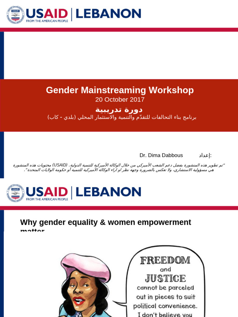 Training On Gender Mainstreaming For NGOs | PDF | Equal Opportunity ...