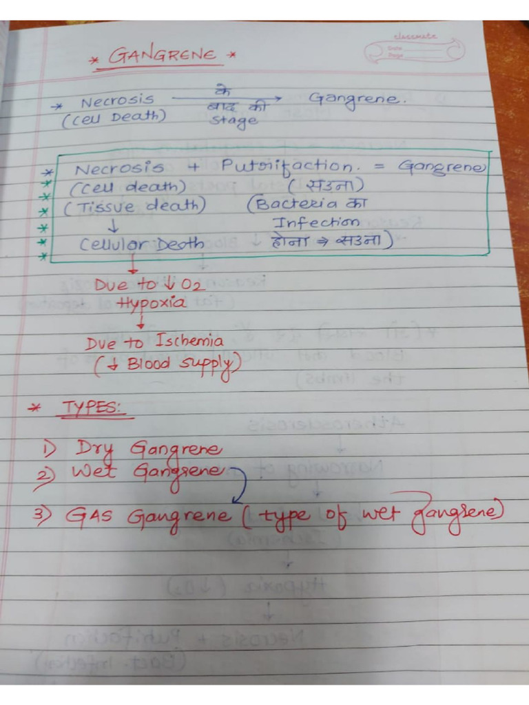 Surgery Notes | PDF