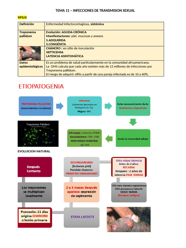 Tema 10 - Ets | PDF | Infección transmitida sexualmente | Inmunología