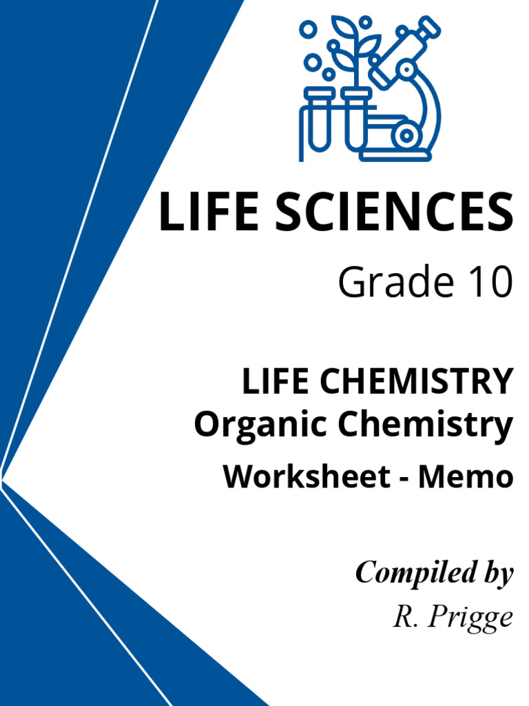 Grade 10 Organic Chemistry Worksheet | PDF | Enzyme | Proteins