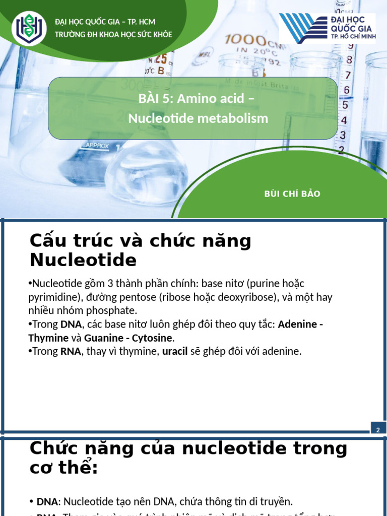 BÀI 5 - Nucelotide | PDF