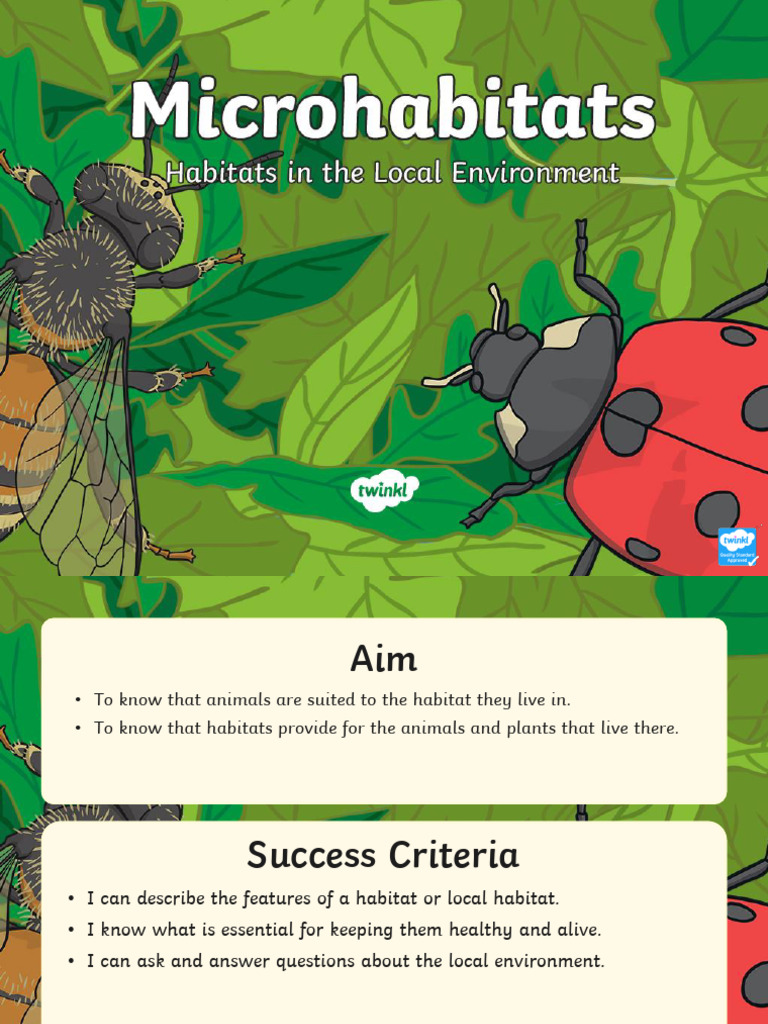 Exploring Microhabitats for KS1 | PDF | Habitat | Biology