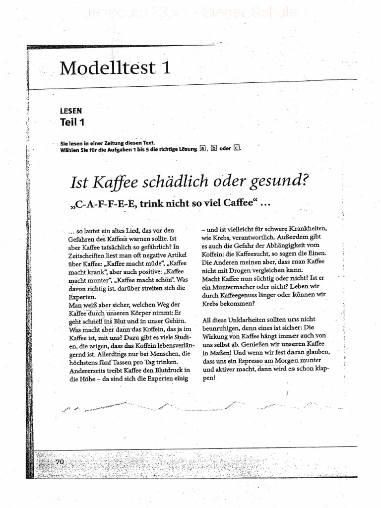 Goethe Model Tests Cleaned | PDF