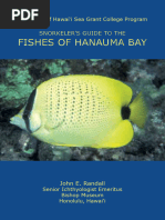 Pakol Fish: Characteristics and Habitat | PDF