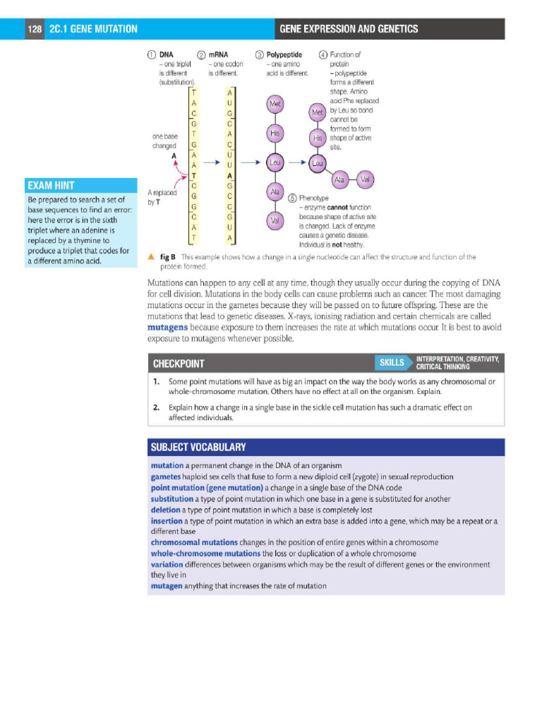 Biology DNA | PDF