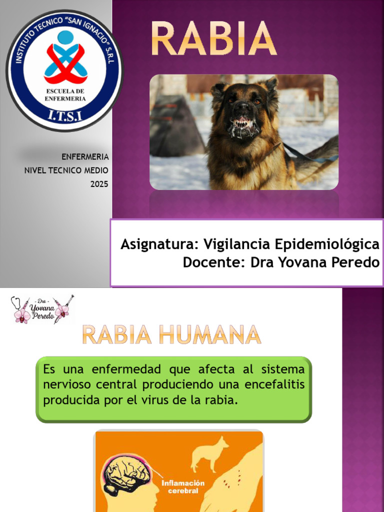 Rabia: Diagnóstico y Profilaxis en Salud | PDF | Rabia | Inmunología