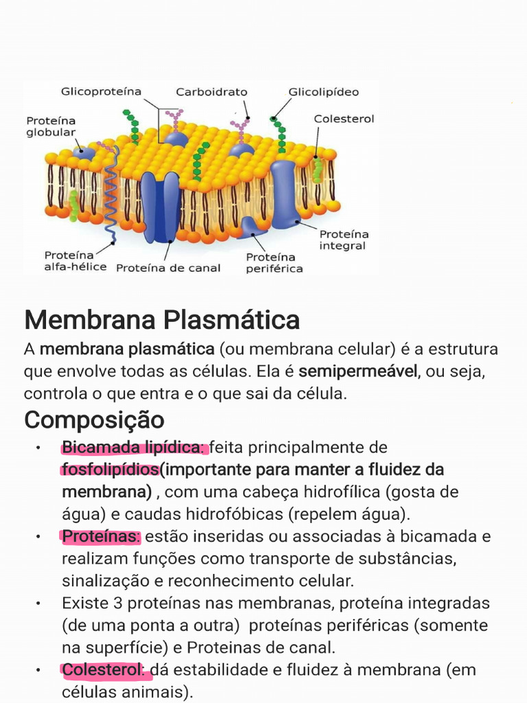 Notes 250507 232403 | PDF