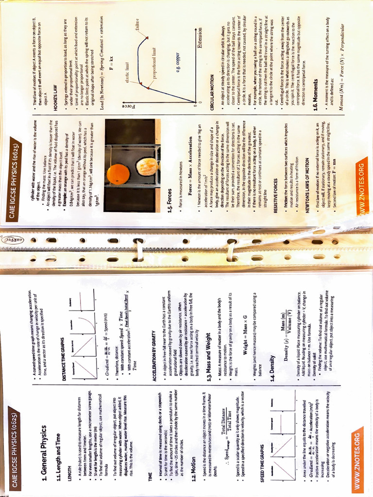 Physics | PDF | Acceleration | Force