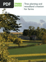 Tree planting and woodland creation for farms