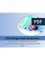 DSS (Dengue Syok Syndrome)