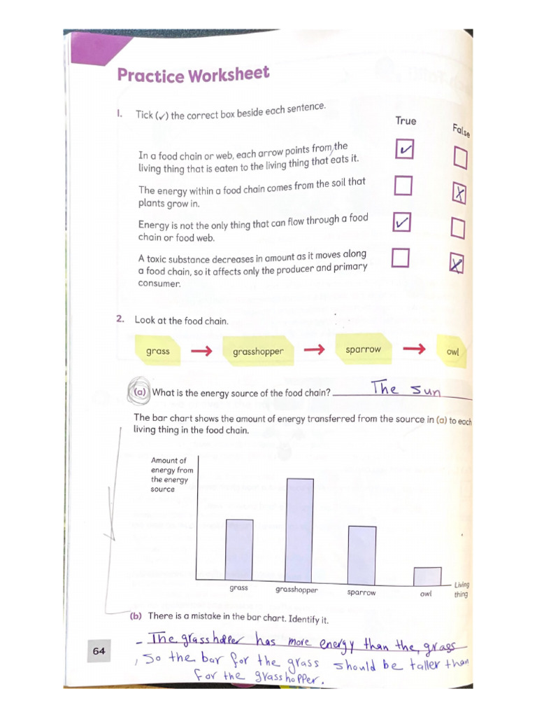 Y6T2 Final Exam Student Book Answers-1 | PDF