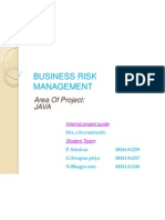 Business Risk Management: Area of Project: Java