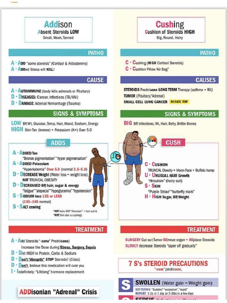 Addison's and Cushing's Disease | PDF