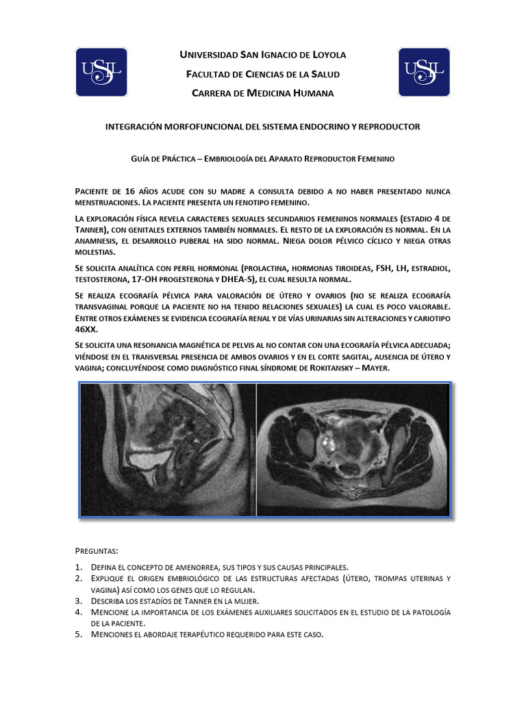 Aparato+Reproductor+Femenino+-+Gu%C3%ADa+Pr%C3%A1ctica+02 | PDF