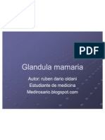 glandulamamaria-110515125217-phpapp02