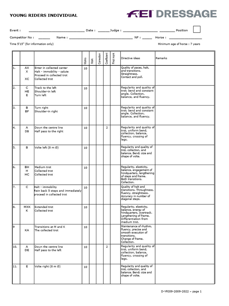 Young Riders Individual Test Guidelines | PDF | Animal Powered ...