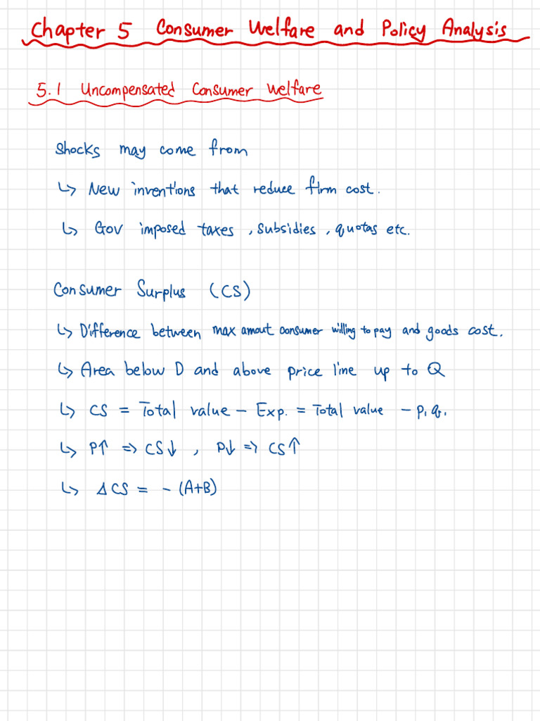 CH 5 Notes | PDF | Economic Surplus | Economies