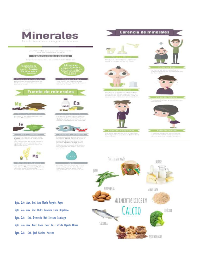 Alimentación Normal Bien | PDF