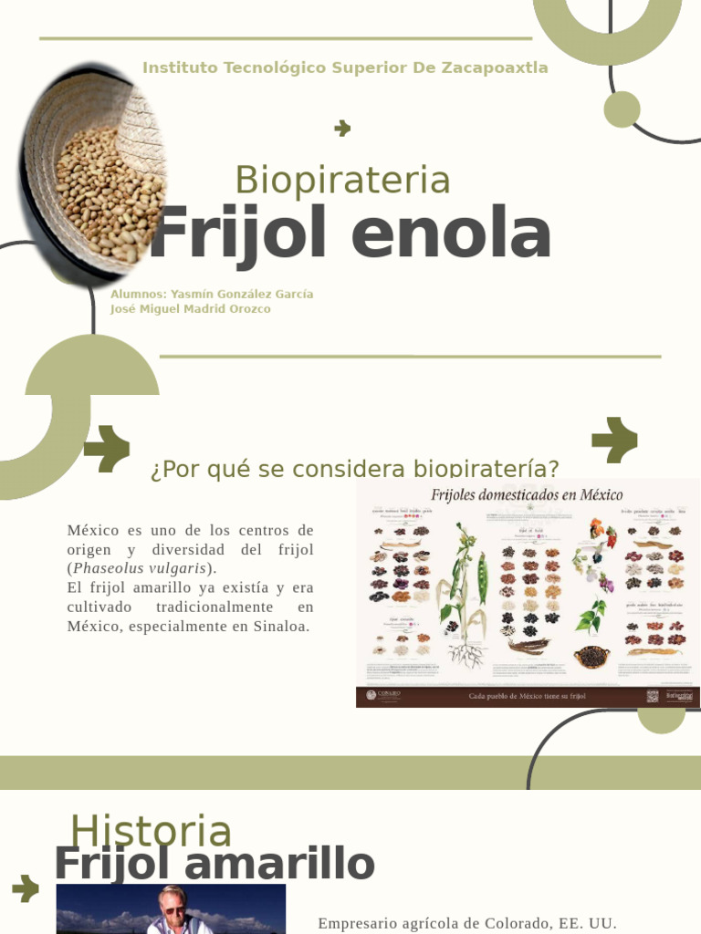 Frijol Enola | PDF | México | Agricultura