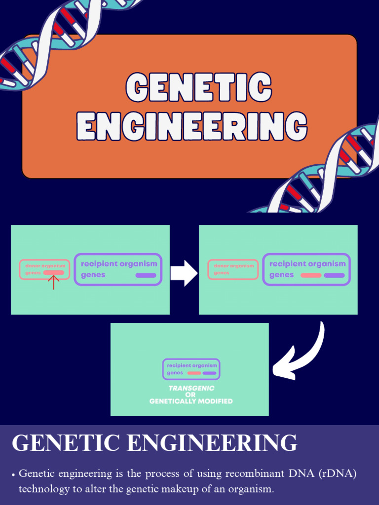No. 15 Bio Report Andres Nejal - 20250501 - 010005 - 0000 | PDF ...