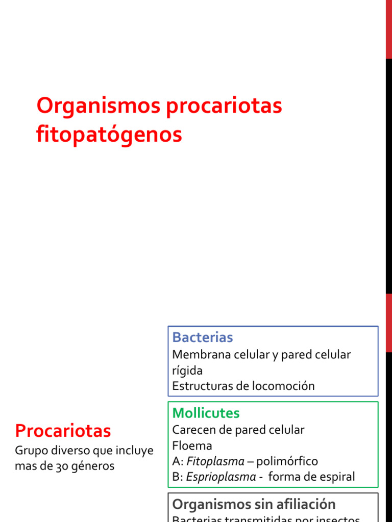 Unidad 3 Procariotas | PDF | Las bacterias | Citoplasma