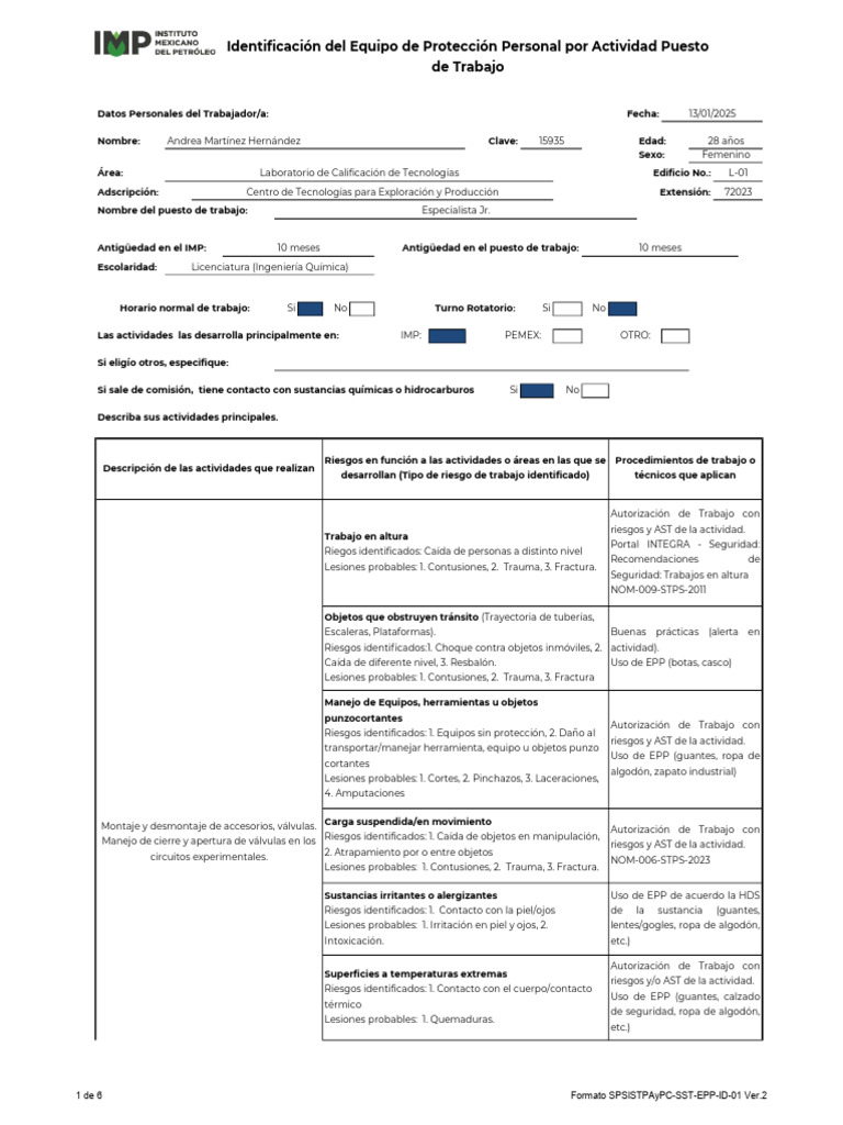 Formato Identificación EPP Por Actividad Puesto de Trabajo - AMH - V2 ...