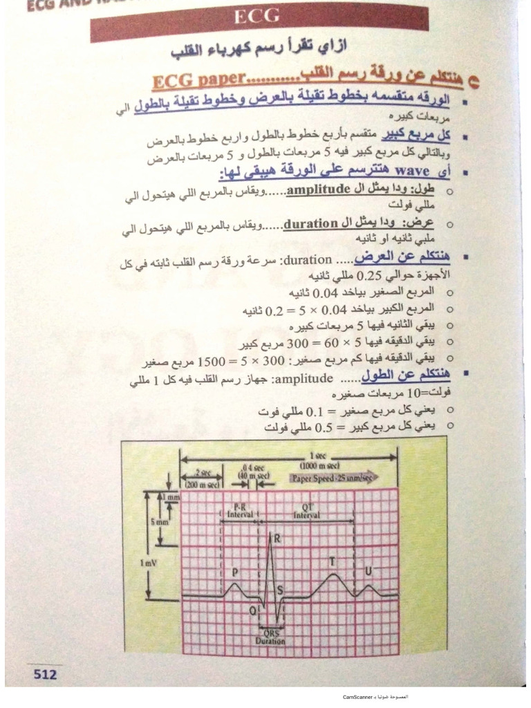 ECG | PDF