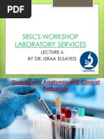 Level IV Surgical Pathology Overview | PDF