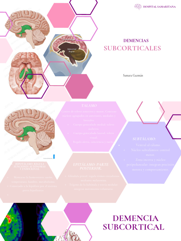 Demencias Subcorticales: Causas y Síntomas | PDF | Demencia