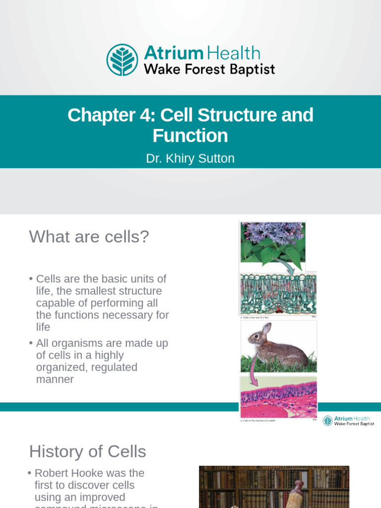 Bio 101 Chapter 4 Cell Structure and Function | PDF | Cell (Biology ...